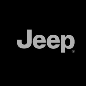 Jeep REMOTE CONTROLS AND KEYS