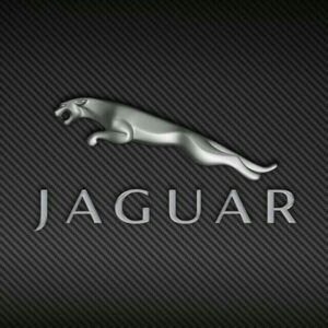 Jaguar REMOTE CONTROLS AND KEYS