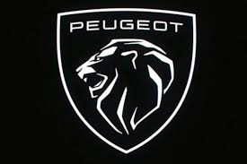 Peugeot REMOTE CONTROLS AND KEYS