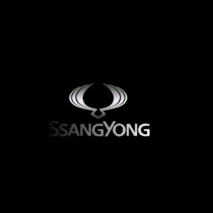 SSANGYONG REMOTE CONTROLS AND KEYS