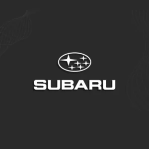 Subaru REMOTE CONTROLS AND KEYS